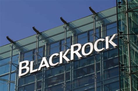 Blackrock Ceo Kryptowährungen Können Tolle Anlageklasse Werden
