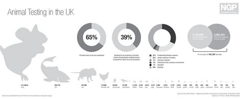 Animal Testing Facts And Figures