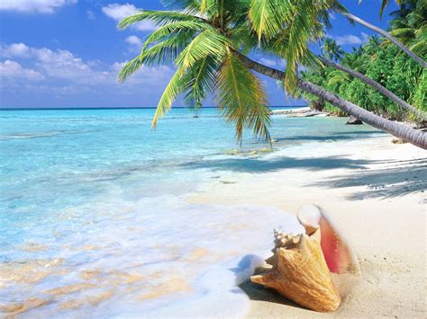 Tropical Island Sandy Beach Ocean Turquoise Water Sea