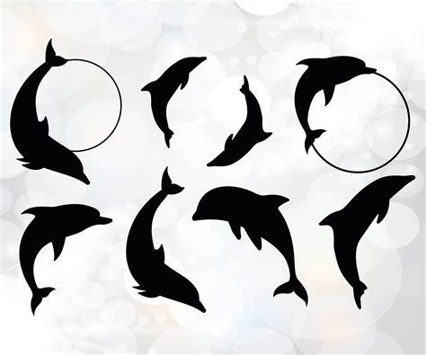 Dolphin Svg Dxf Dolphin Circle Monogram Frame Svg Cut Etsy