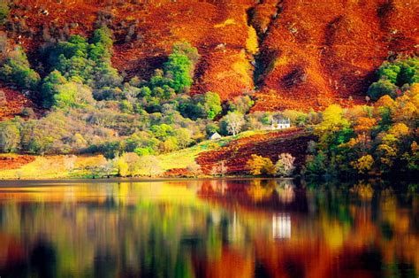 1920x1080px 1080p Free Download Fall Reflections Forest Colorful