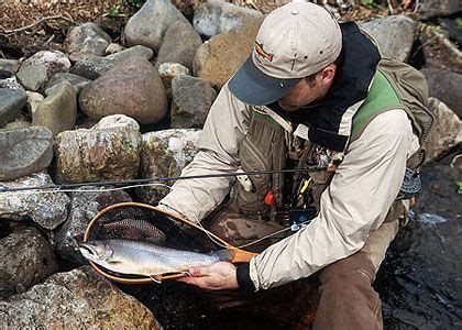 Pennsylvania's Susquehanna River Surprise! | Trout fishing, Trout fishing tips, Trout