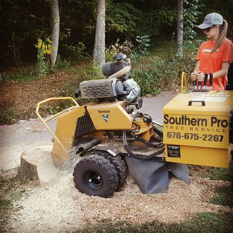 Especially alpharetta, milton, roswell, marietta, woodstock, canton and cumming. Stump Grinding & Removal | Canton & Cartersville, GA ...