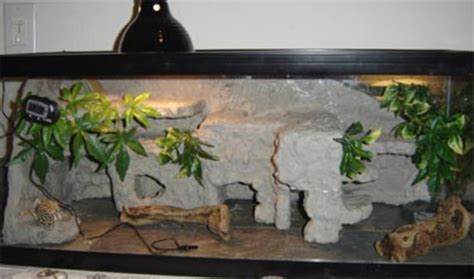 Native Habitat Of The Leopard Gecko Setting Up A Natural Enclosure