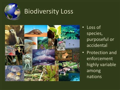 Ppt Critical Global Environmental Issues Powerpoint Presentation