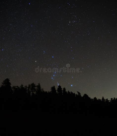 Orion Constellation Stars In Night Sky Stock Image Image