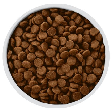 This hill's science diet recipe is formulated for cats who live indoors. Hill'sMD Prescription DietMD z/dMD Canine - sèche