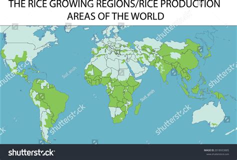 세계의 쌀 재배지역 또는 세계 쌀 스톡 벡터로열티 프리 2018933885 Shutterstock