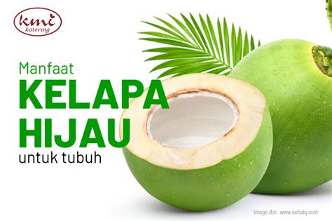 Manfaat Kelapa Hijau Untuk Tubuh