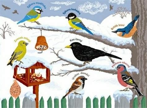 Pin by Éva on Óvoda | Winter crafts for kids, Winter crafts, Paper birds