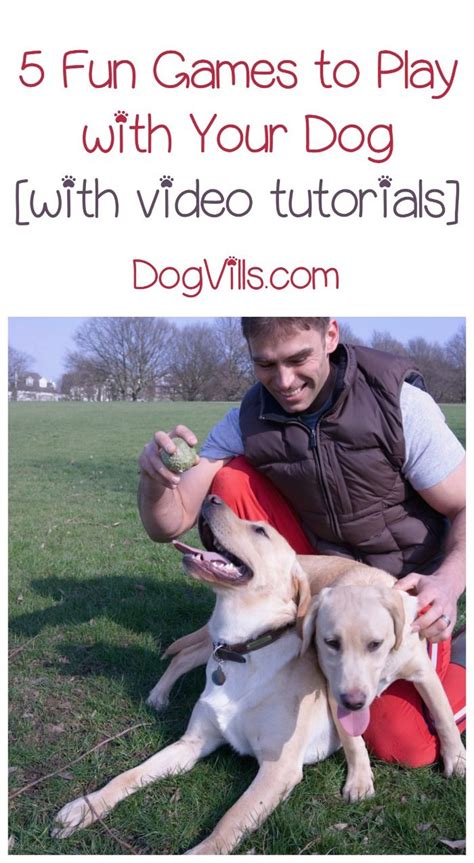 Looking For Dog Training Tips That Are Actually Fun To Implement And