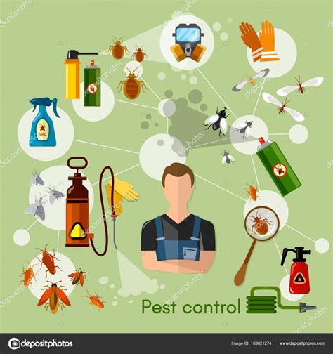 Pest Control Services Infographics Exterminating Insects — Stock Vector