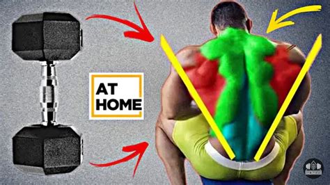 11 Best Back Exercises At Home Dumbbells Only Perfect Back Workout