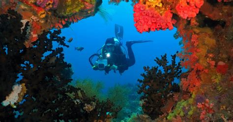 7 Most Spectacular Diving Spots In Cebu Philippines Guide To The