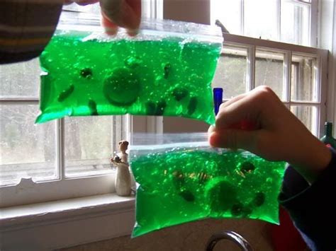 We did not find results for: 10 ways to make animal cell/ plant cell school science ...