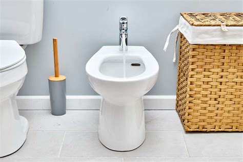 Upgrade Your Bathroom With The Best Toilet With Bidet Built In