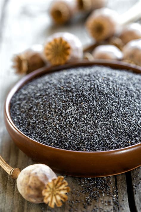 Convert a measure of poppy seeds to another culinary units between dry weight scales measures vs volume measuring practiced in kitchens for cooking with poppy seeds, baking and food diet. Banned Things Abroad - Things That Could Land you in ...