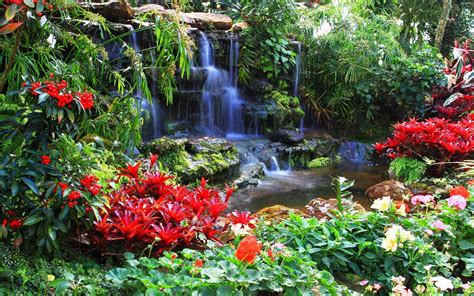 Download Plant Pond Nature Garden Waterfall Hd Wallpaper
