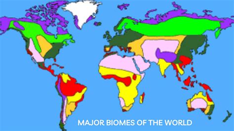 What Are The Major Biomes Of The World Lets Learn