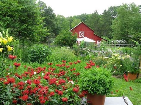 This 13 Acre Usda Certified Organic Farm Is Up For Grabs Winter