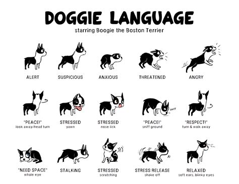 Body Language Your Dog Has A Lot To Say Joyful Dog Joyful Dog