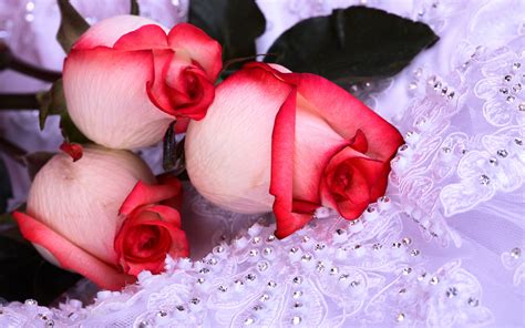 Free Scenery Wallpaper - Includes Pink Roses, What a Beautiful Decoration on Your Device! | Free ...