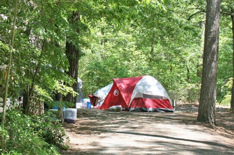 Snow Hill Pocomoke River State Park Campground Pet Friendly Travel