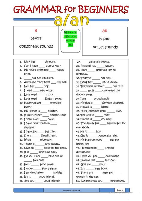 Grammar for Beginners: a or an worksheet - Free ESL printable