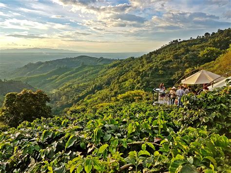 I'll be in jardin in a couple weeks and would like to check out a coffee plantation, any ideas of where to go or who to contact? 11 Stunning Alternatives to Salento in the Zona Cafetera ...