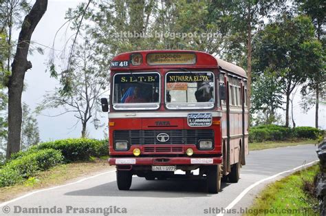 Sltb Buses ශ්‍රී ලංගම බස් Ruby Bodied Tata Lp 151052 Bus From Sltb