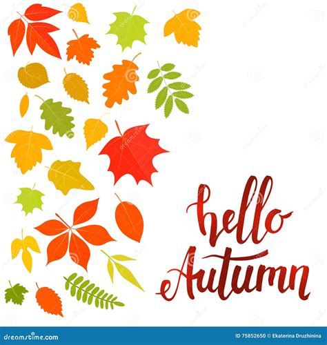 Hello Autumn Leaves Stock Vector Illustration Of Birch 75852650