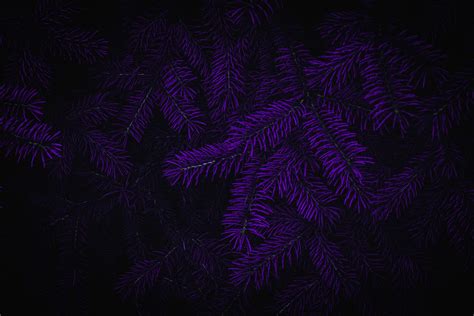 Photoshop Dark Purple Background Hd Wallpaper