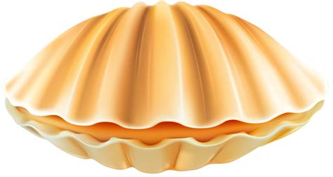 Clam Clipart Closed Picture Clam Clipart Closed