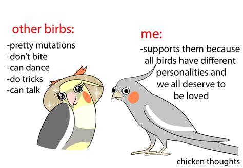 Not Like Other Girls Wholesome Bird Edition Rnotliketheothergirls