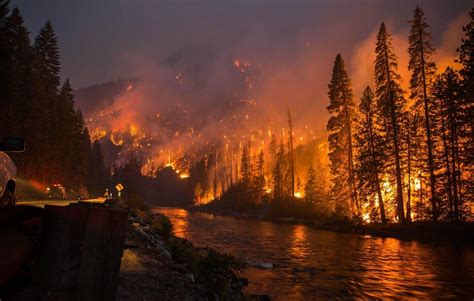 Burning Forest Gatlinburg Fire Gatlinburg Tennessee Gatlinburg