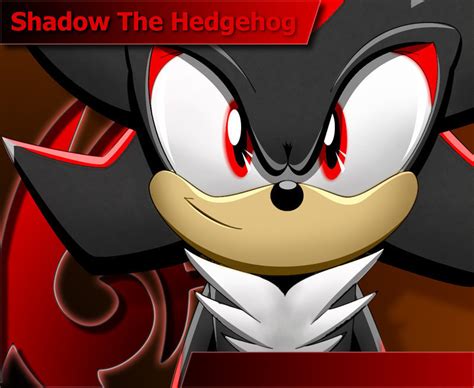 Shadow - Shadow The Hedgehog Fan Art (20054697) - Fanpop