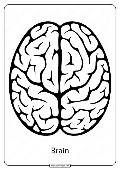 Free Printable Brain Outline Pdf Coloring Pages Coloring Pages