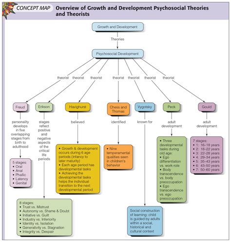 Pin By Judy Rolph On Concept Of Growth And Development Concept Map