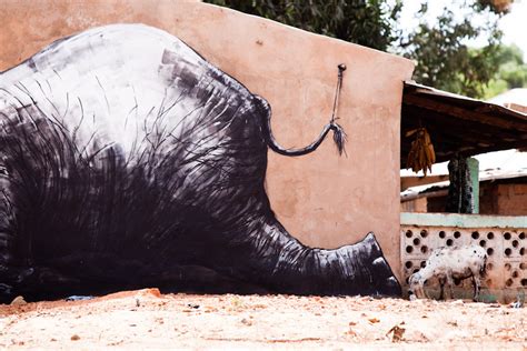 Roa In Gambia For Wide Open Walls Street Art Utopia