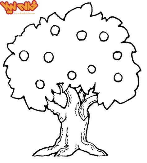 We have made these fruits in color and also in black and white. رنگ اميزي نقاشي درخت روز درخت كاري