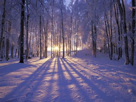 Winter Background Scenes ·① Wallpapertag