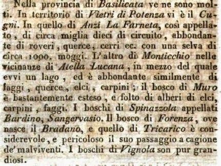 Di Storia Di Storie Materiali Didattici 16 Boschi Della Basilicata