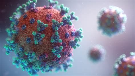 Mei 12, 2021mei 13, 2021 blog 0 reacties. Corona-virus: overzicht van nieuws, maatregelen en tips - VCP