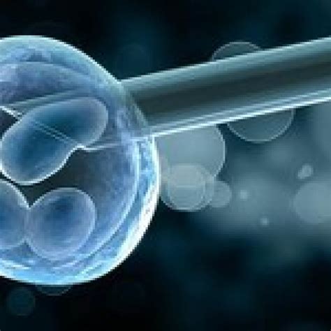 Cyprus Ivf Treatment Centre Cyprus Gender Selection