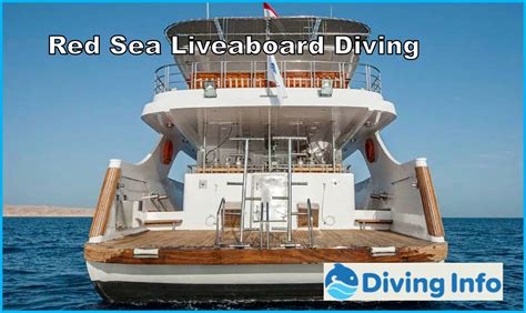 Red Sea Liveaboard Diving Diving Info
