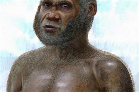 Red Deer Cave People Bone Points To Mysterious Species Of Pre Modern