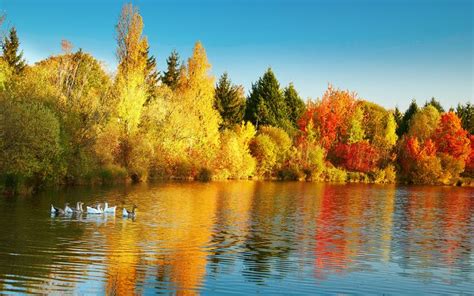 Autumn Colors Windows 10 Theme Free Wallpaper Themes