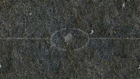 Dry Grass Textures Seamless