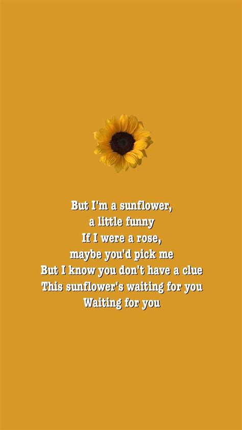 Quote Cute Wallpaper Tumblr Sunflowers Background Unique