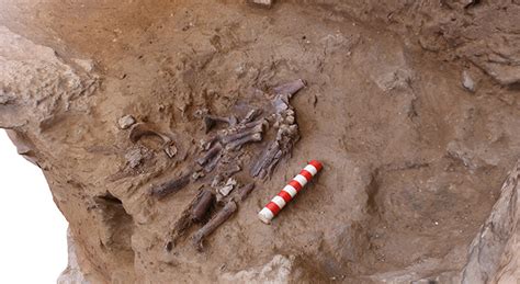 Sposacittamagazine.it web server used 89.46.105.40 ip address at aruba s.p.a. A Stunning Neanderthal Skeleton Was Just Unearthed at a ...